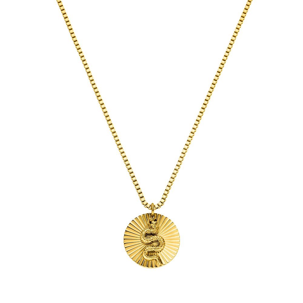 Snake Coin Necklace - INT PURELEI